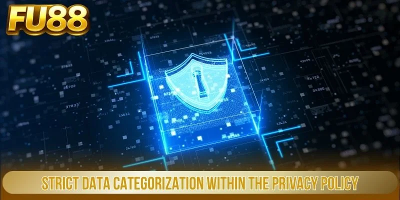 Chính Sách Bảo Mật 2 Strict data categorization within the privacy policy