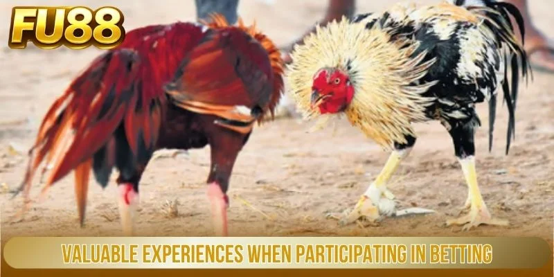 Đá Gà Cựa Dao - Đấu Trường Trực Tuyến Kịch Tính Tại Fu88 3 Valuable Experiences When Participating In Betting